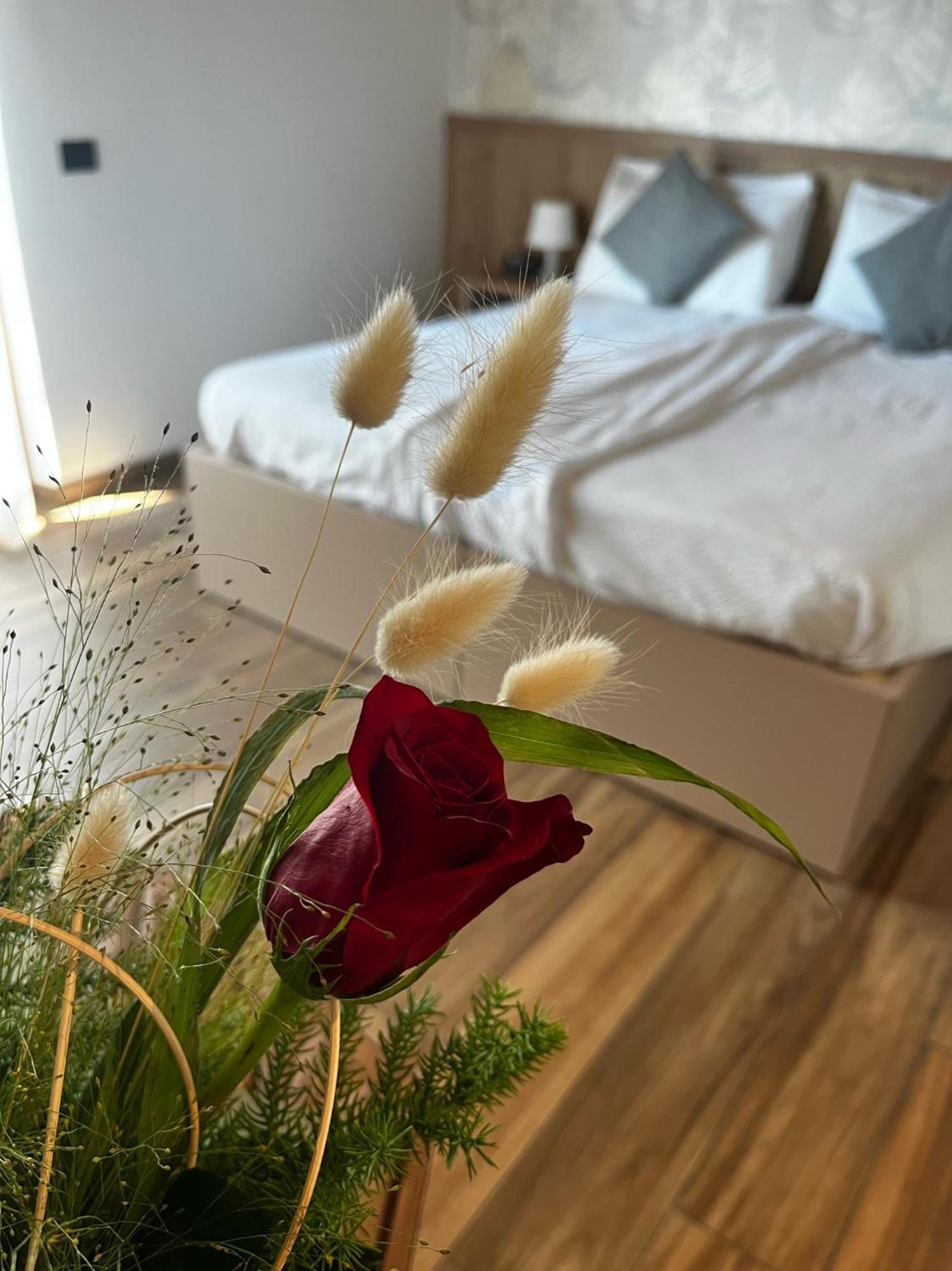 Agriturismo Maso Miri トレント エクステリア 写真